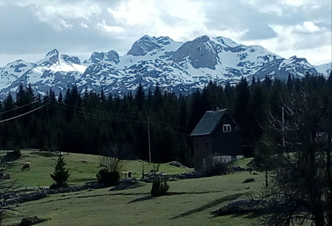 Village House Popovic Žabljak Esterno foto